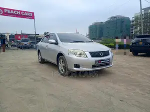 Toyota Axio 2008 Silver