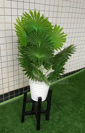 18 Leaves Plants Plus Stand