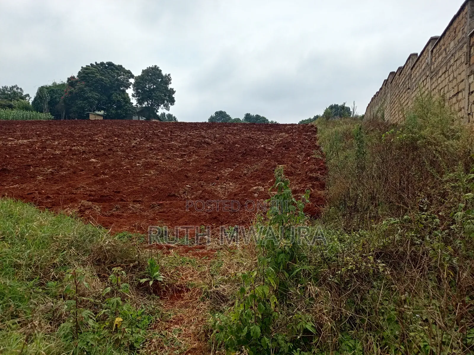 Prime 2-Acre Land for Sale | Tigoni, Limuru