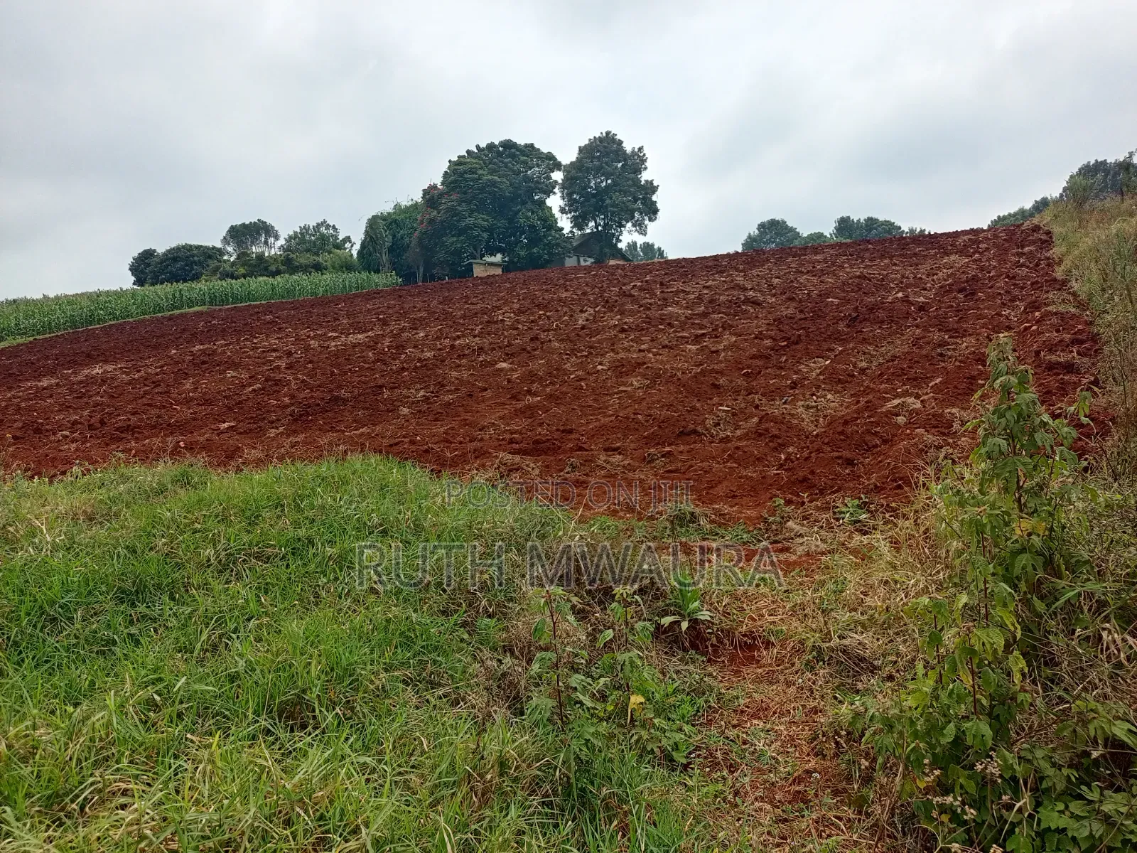 Prime 2-Acre Land for Sale | Tigoni, Limuru