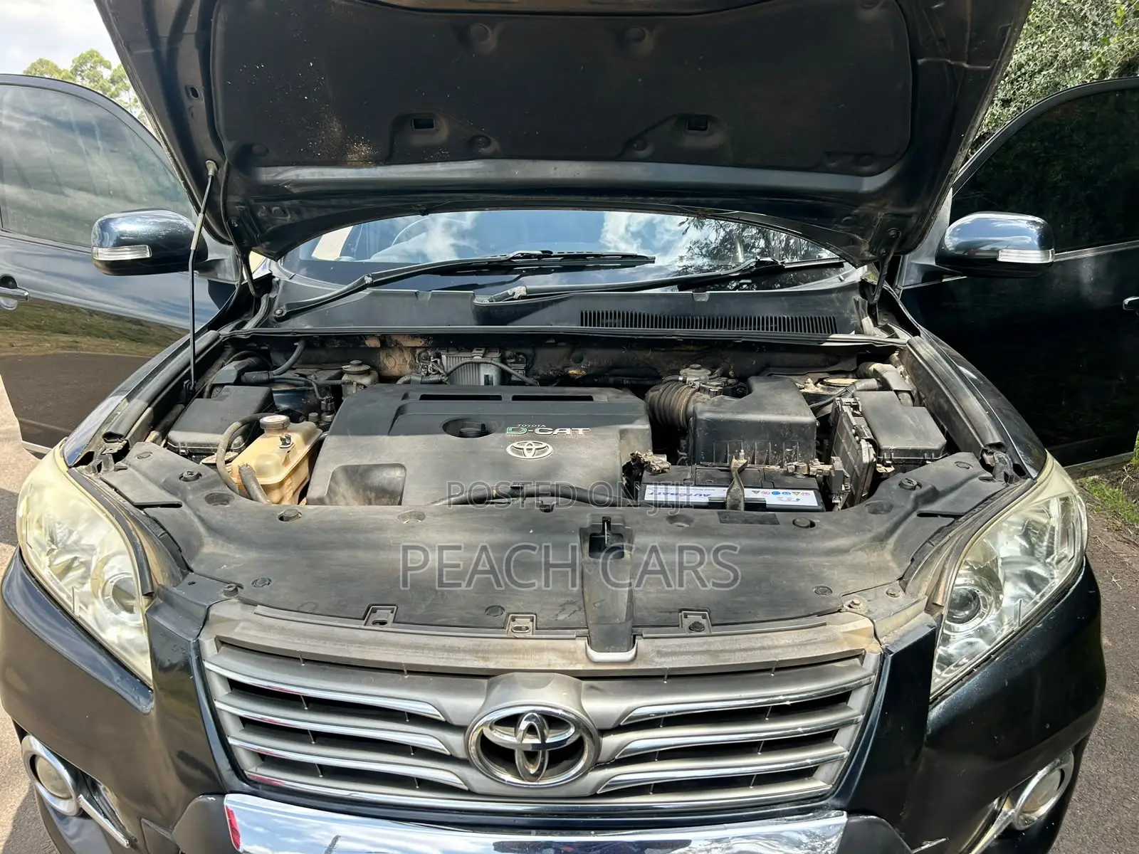 Toyota RAV4 2010 Black