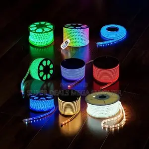 Easy to Install LED Snake Lights Strip Lights Wholesale Prices