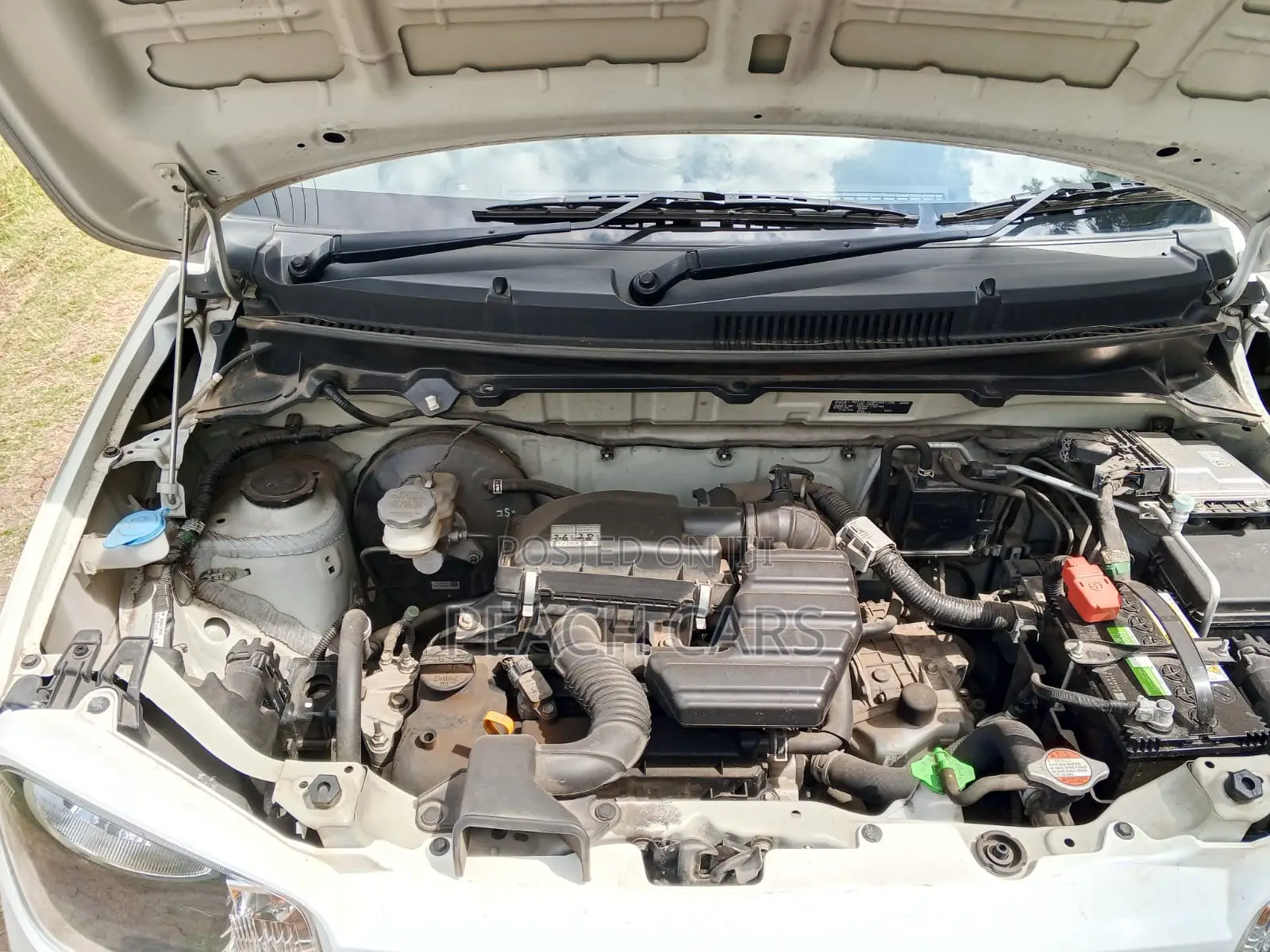 Suzuki Alto 2019 White