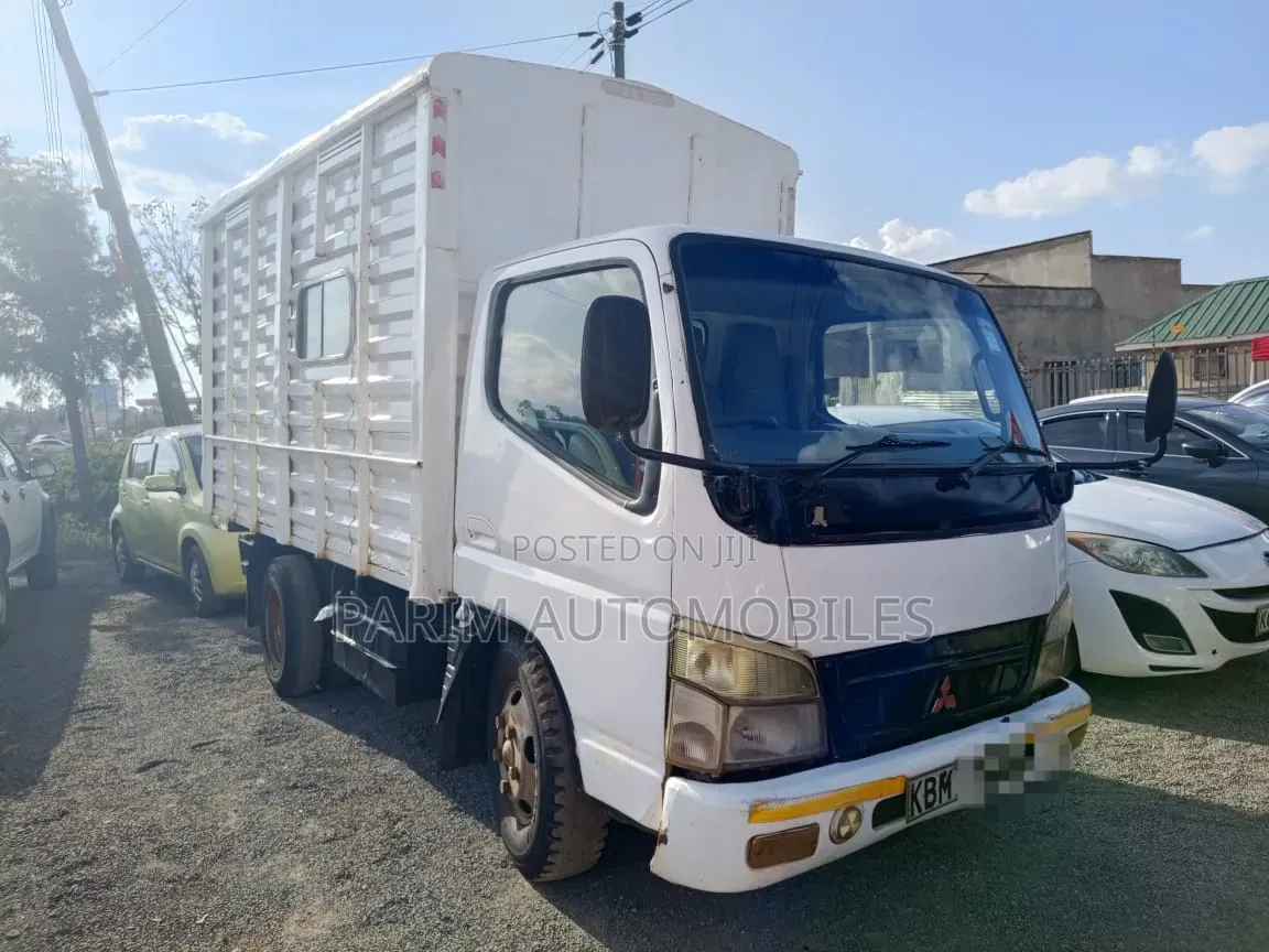Mitsubishi Canter 2003 White