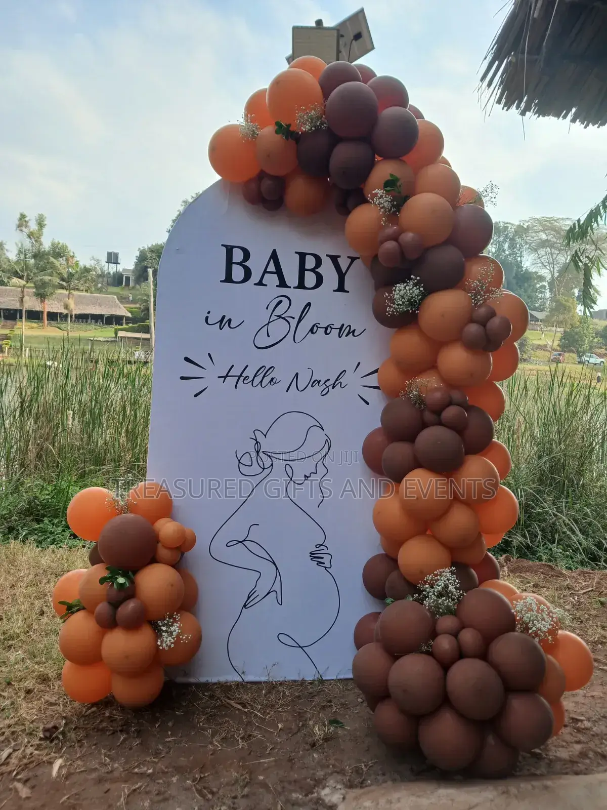 Babyshower Backdrop and Seat Arrangements