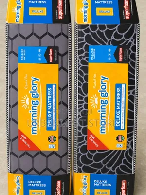 Morning Glory 8 Inch Single Bed Mattress, 3 by 6