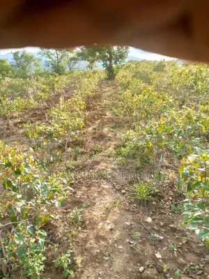 1.5 Acre on Sale at Siakago-Embu