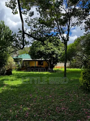 3bdrm Bungalow in Hardy for rent