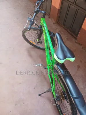 Phoenix 26" Mountain Bike (21 Speed, Disc Brakes, Fully Serviced)