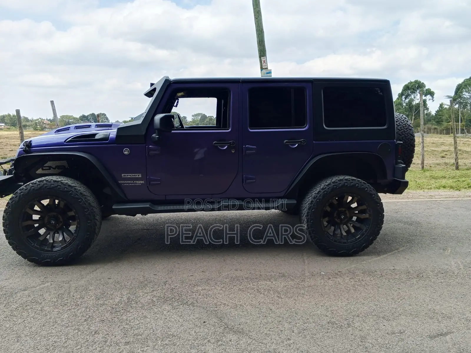 Jeep Wrangler 2016 Purple