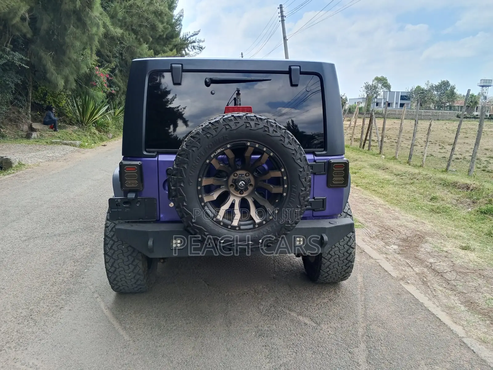 Jeep Wrangler 2016 Purple