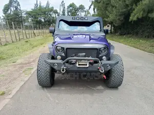 Jeep Wrangler 2016 Purple