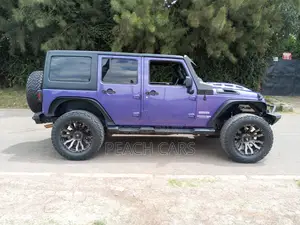 Jeep Wrangler 2016 Purple
