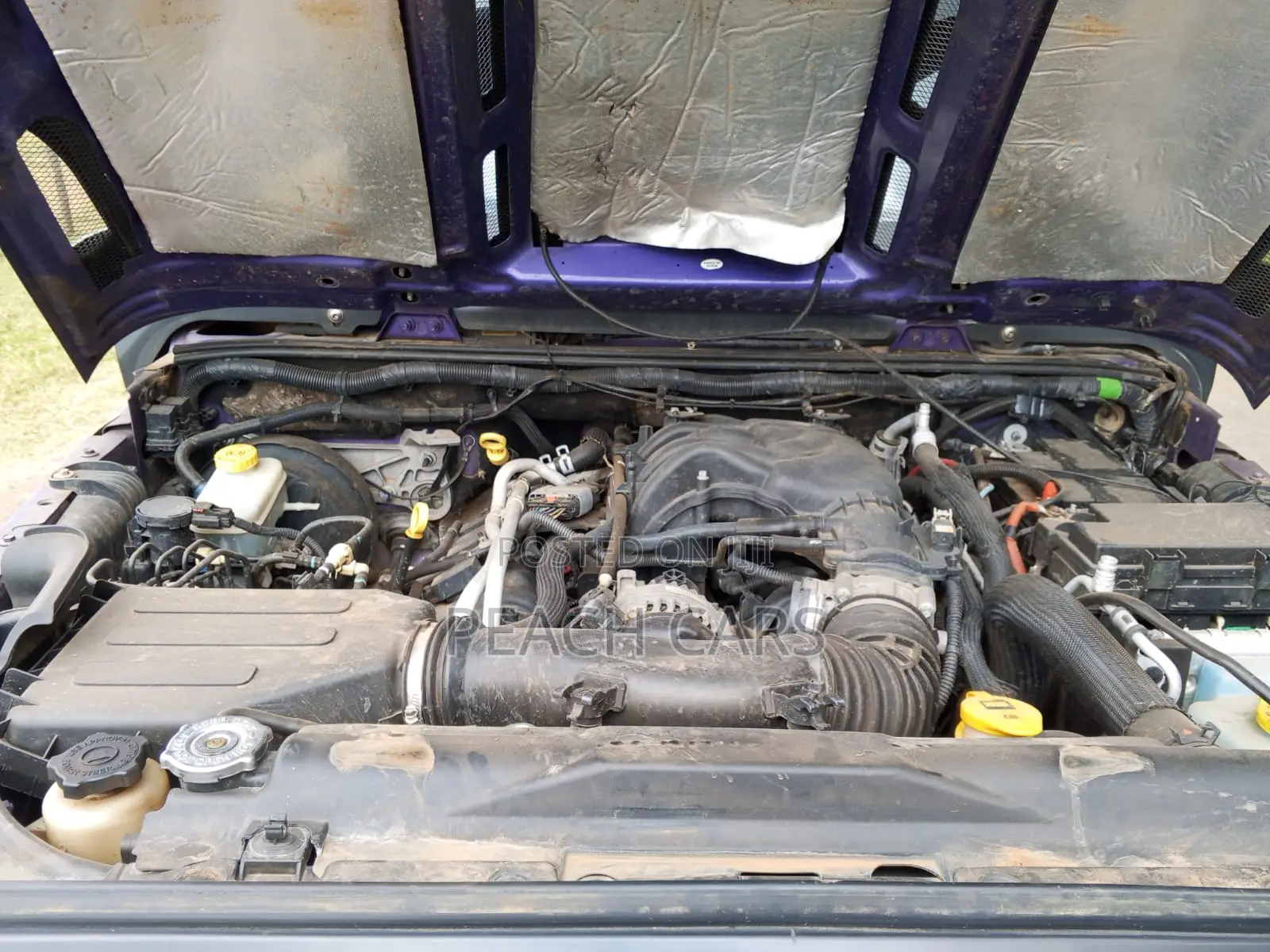 Jeep Wrangler 2016 Purple