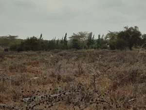 1/4 Plot at Undugu Children's