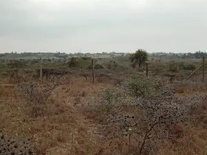 1/4 Plot at Undugu Children's