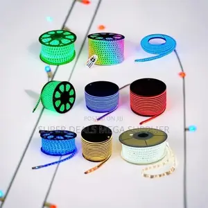 Home Display Signs LED Snake Lights Strip Lights Wholesale Prices
