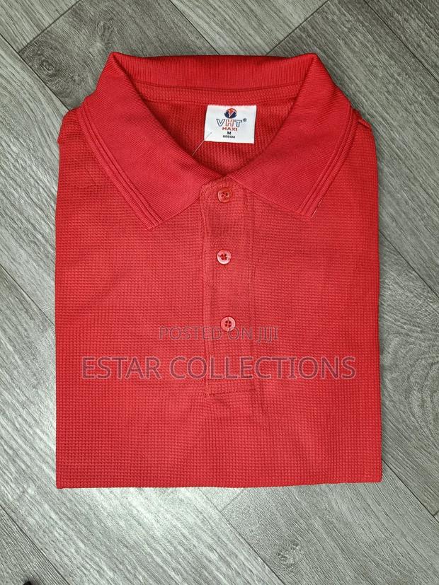 Dotted Polo Shirt