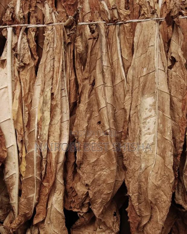 Grabba Leaf / Fronto Leafs - thumbnail 2