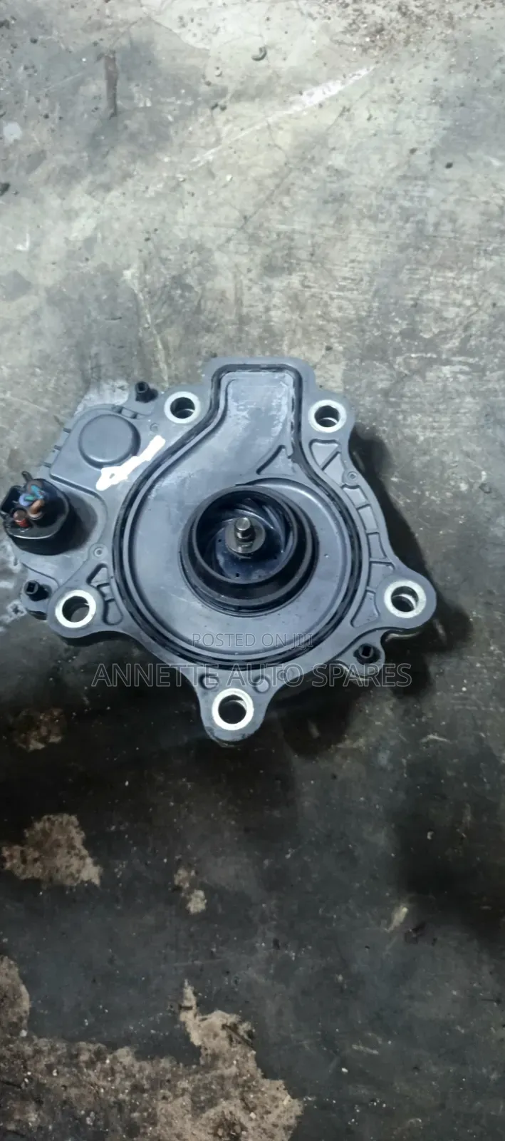Water Pump Hybrid