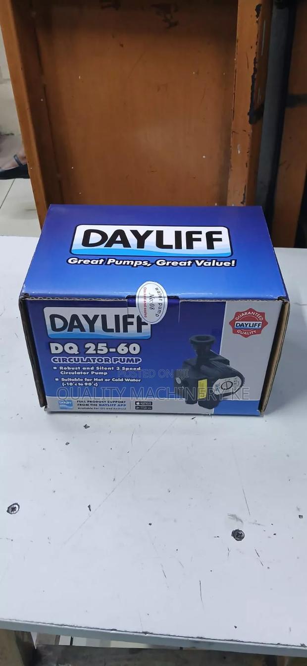 Reliable Continuous-Duty Operation DQ 25-60 Dayliff Circulator Pump - main view