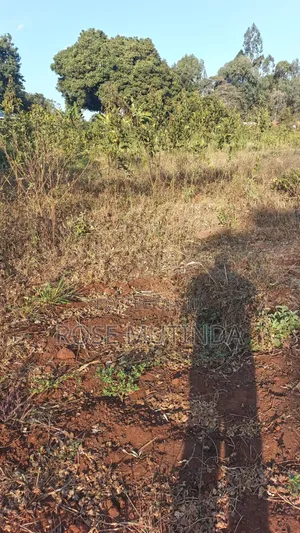 2acres Matungulu