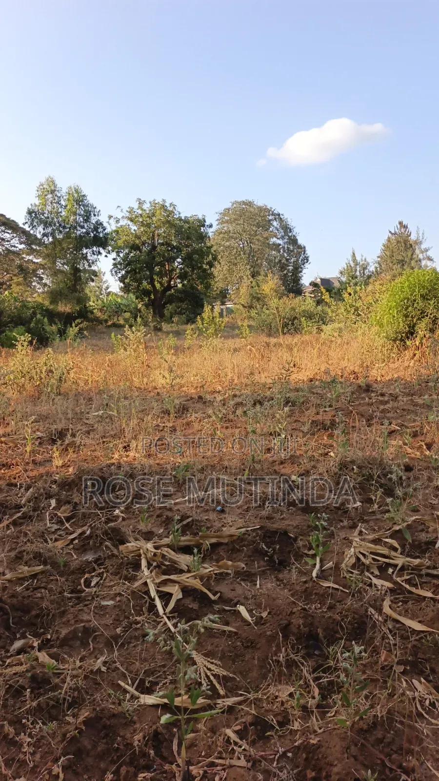 2acres Matungulu