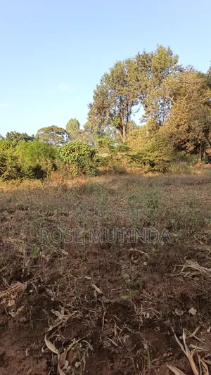 2acres Matungulu
