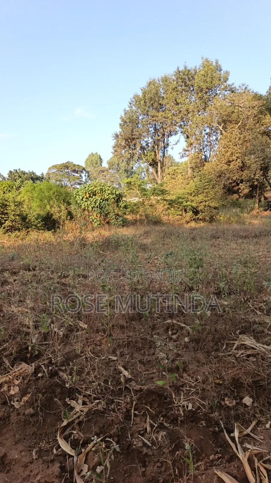 2acres Matungulu