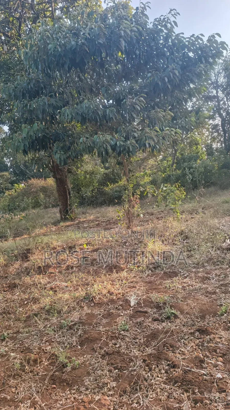 2acres Matungulu