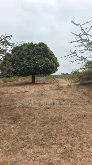 8acres at Nguluni