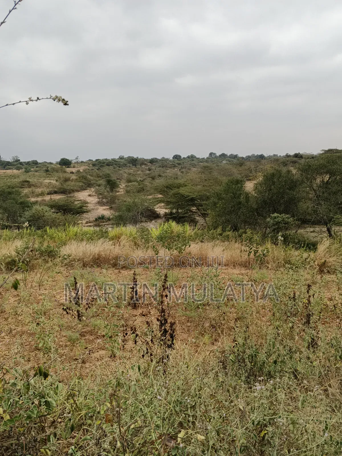 Land for Sell