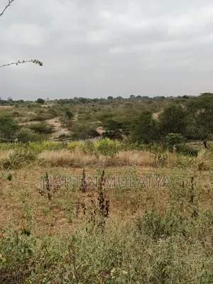 Land for Sell