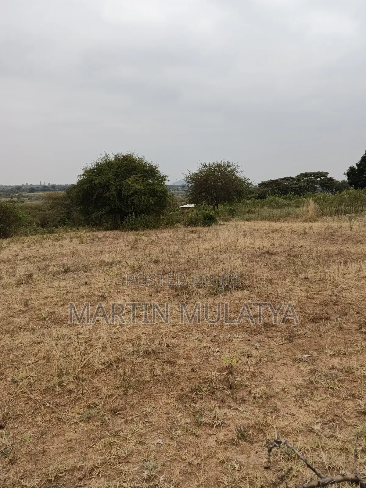 Land for Sell