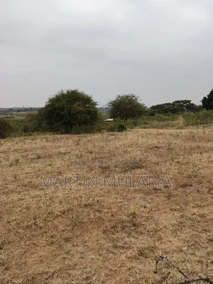Land for Sell