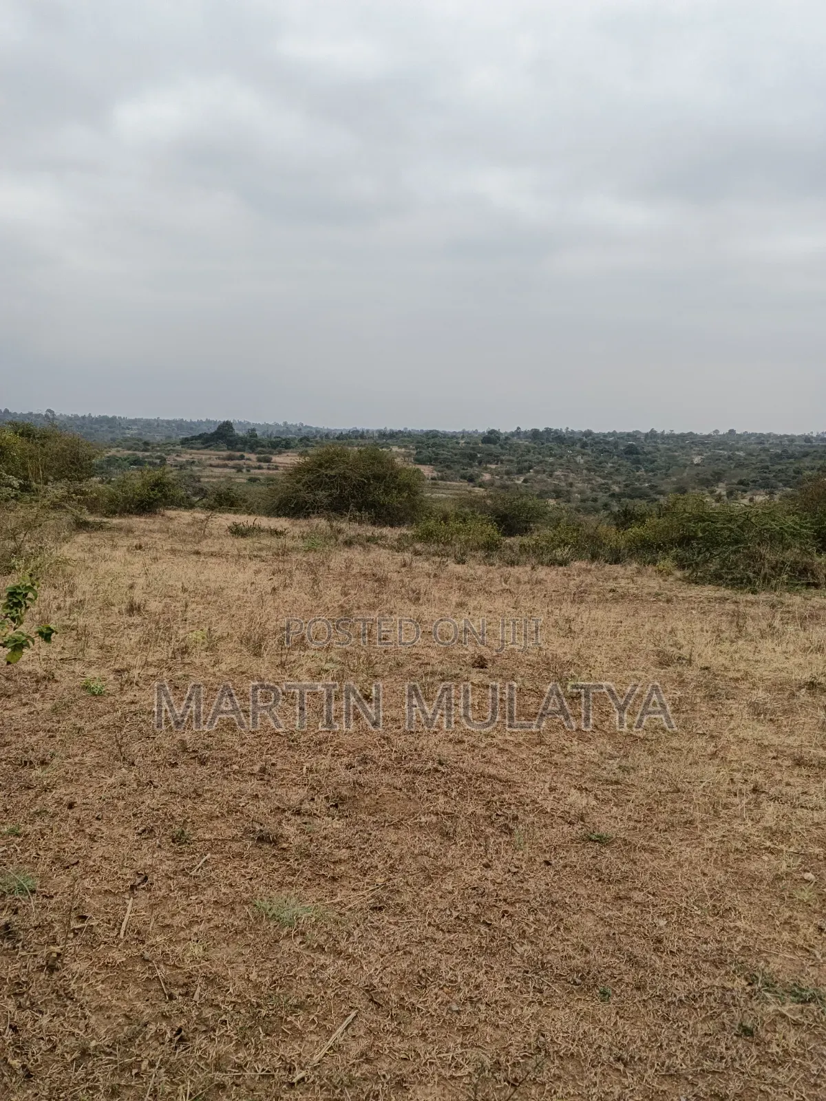 Land for Sell