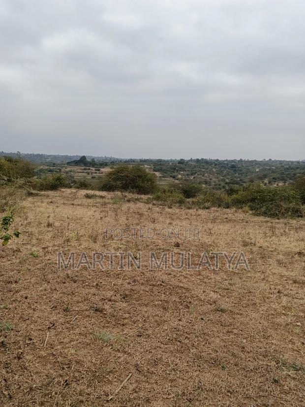 Land for Sell - thumbnail 4