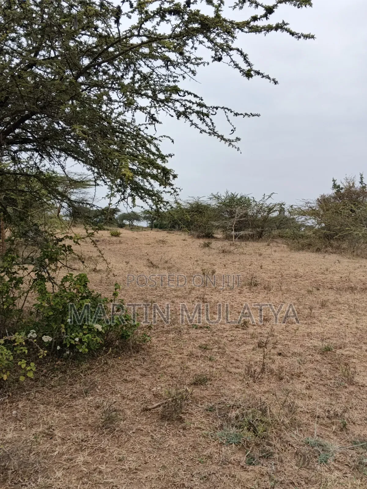 Land for Sell