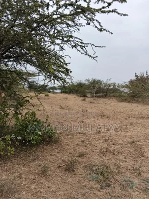 Land for Sell