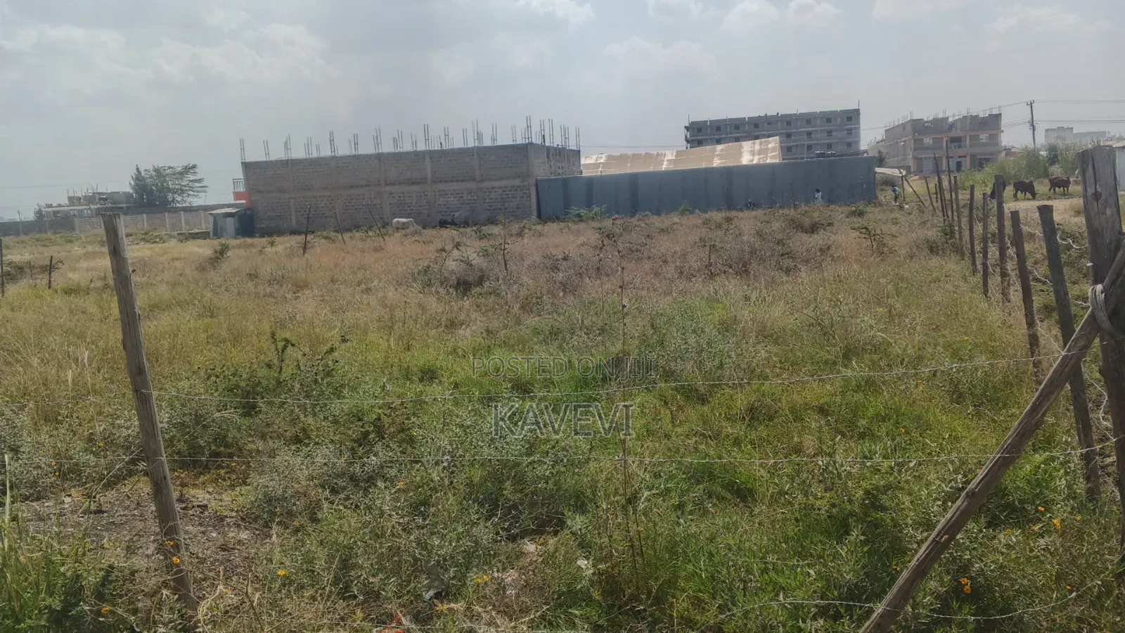 Plots for in Mlolongo