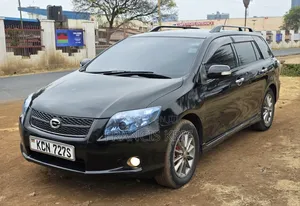 Toyota Corolla Fielder 2010 Black