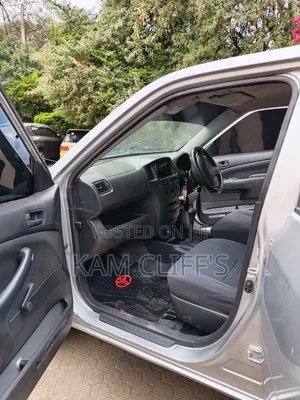 Toyota Probox 2009 Silver