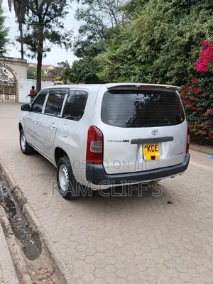 Toyota Probox 2009 Silver