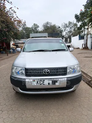 Toyota Probox 2009 Silver