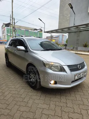 Toyota Corolla Fielder 2010 Silver