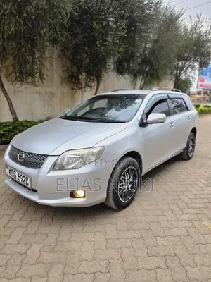 Toyota Corolla Fielder 2010 Silver