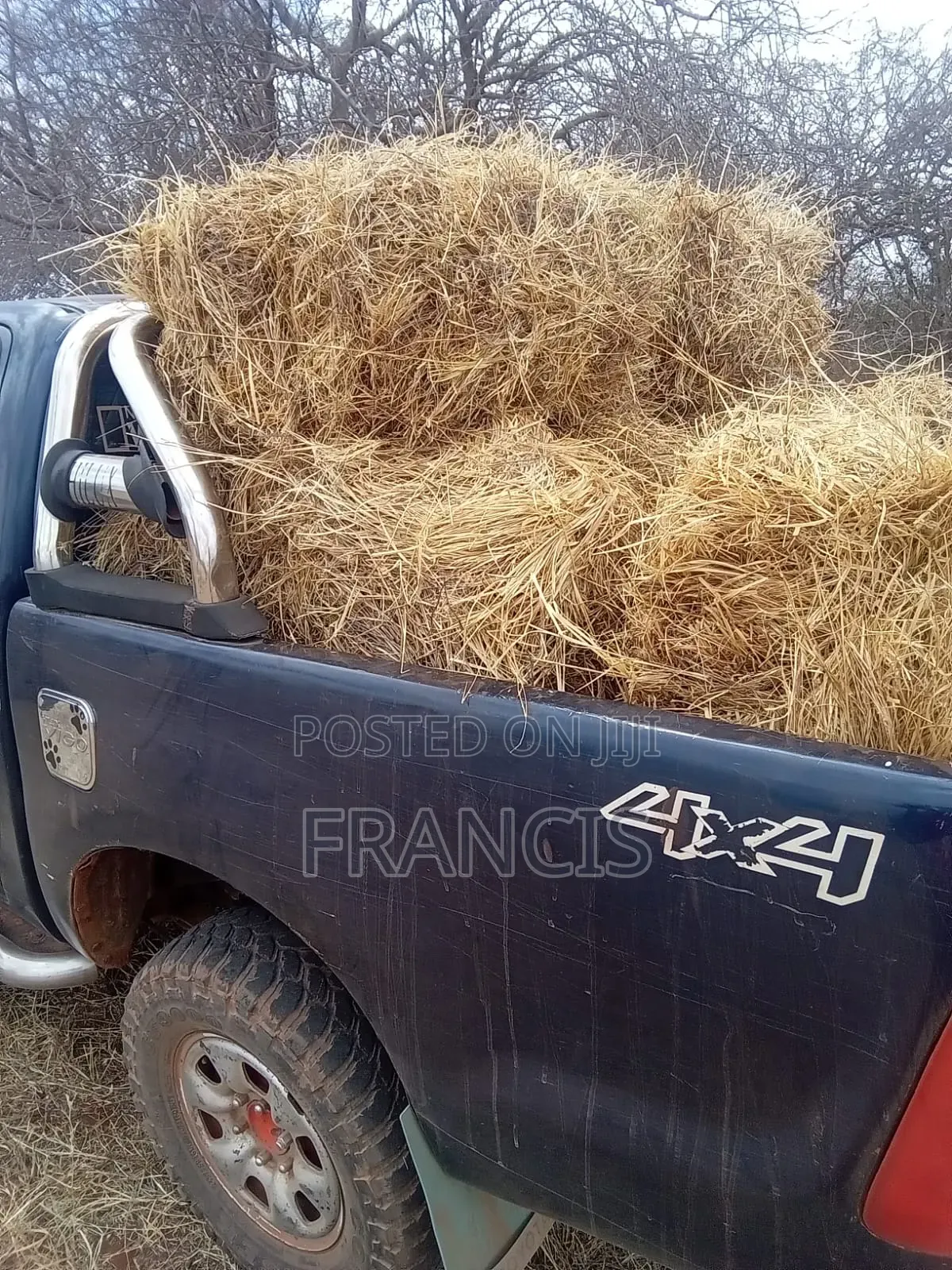 Agribusiness Consultancy