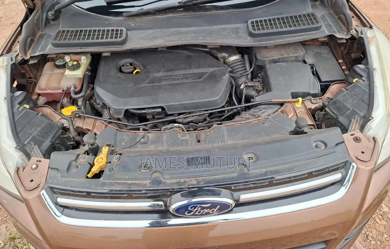 Ford Kuga 2013 Brown