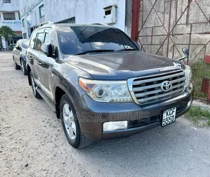 Toyota Land Cruiser 2009 Gray