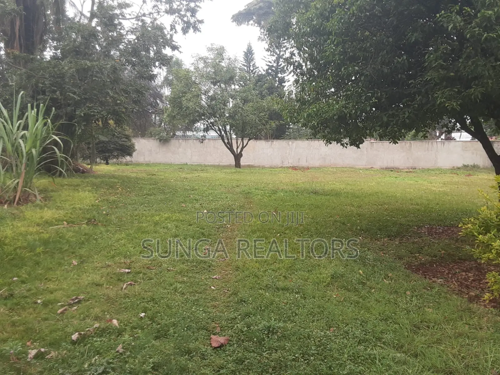 Commercial Property for Rent in Gigiri